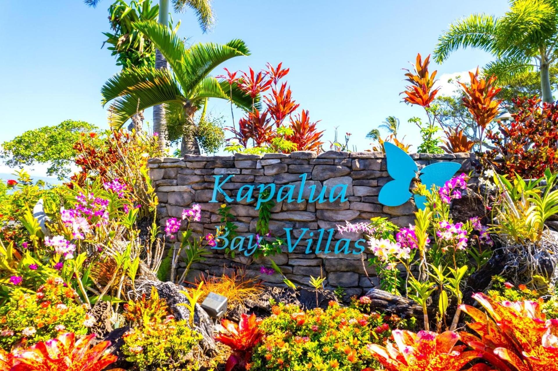 Kbm Resorts Free Car Kapalua Bay Villa Kbv-31G4 Spectacular Ocean Views Extérieur photo